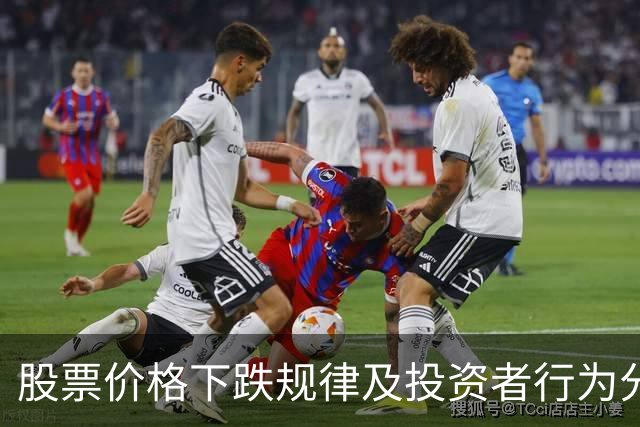 股票价格下跌规律及投资者行为分析